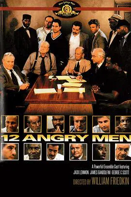 【剧情片】十二怒汉